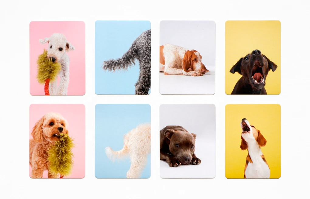 »Hundesprache«  —  LAURENCE KING