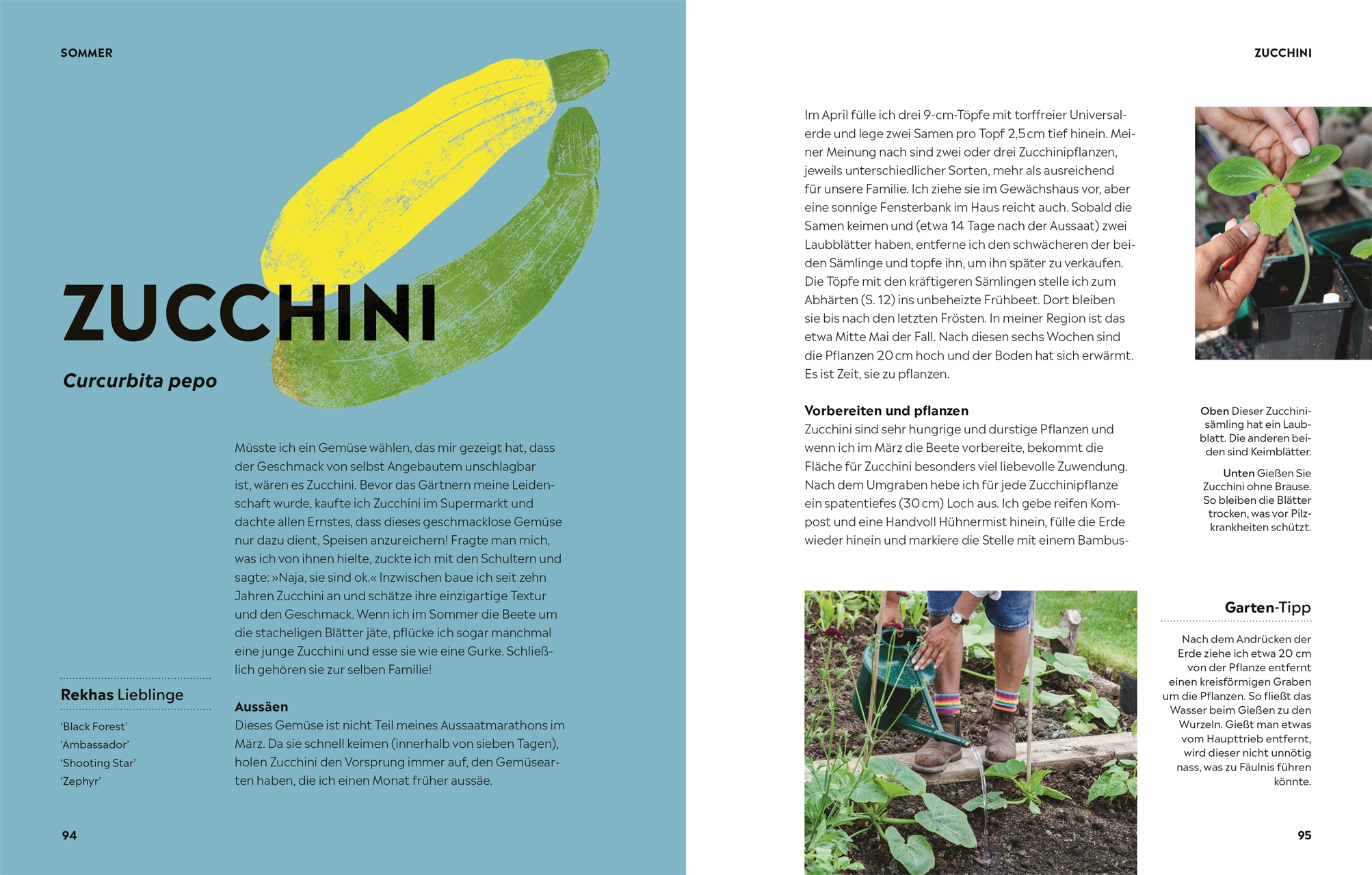 »Genuss pur aus dem Küchengarten« — DORLING KINDERSLEY