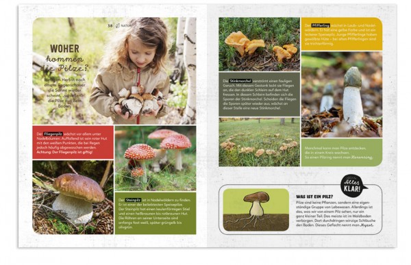 »MEIN SACH- UND MACH- HERBST-BUCH« - KLEIN & GROSS VERLAG