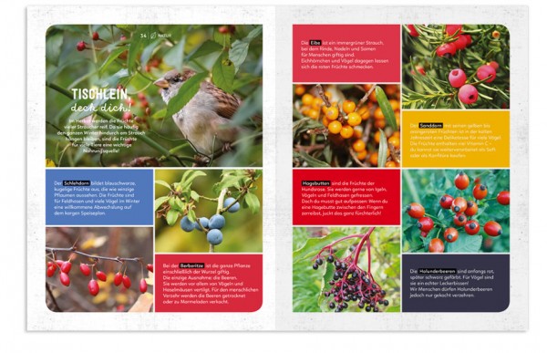 »MEIN SACH- UND MACH- HERBST-BUCH« - KLEIN & GROSS VERLAG