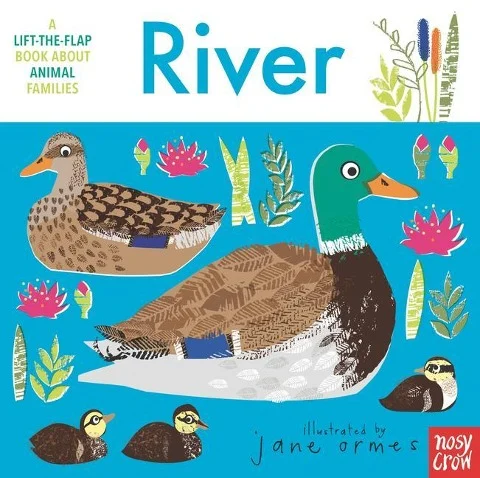 »Animal Families: River« — NOSY CROW