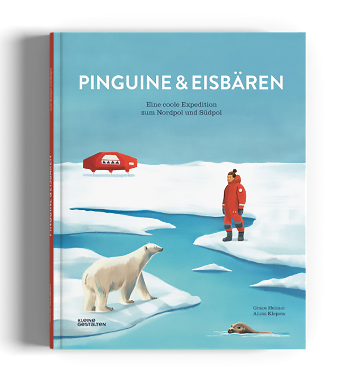 »PINGUINE & EISBÄREN« — GESTALTEN