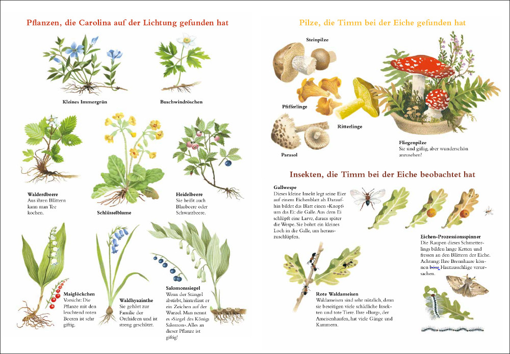 »UNSER BAUM« - MORITZ