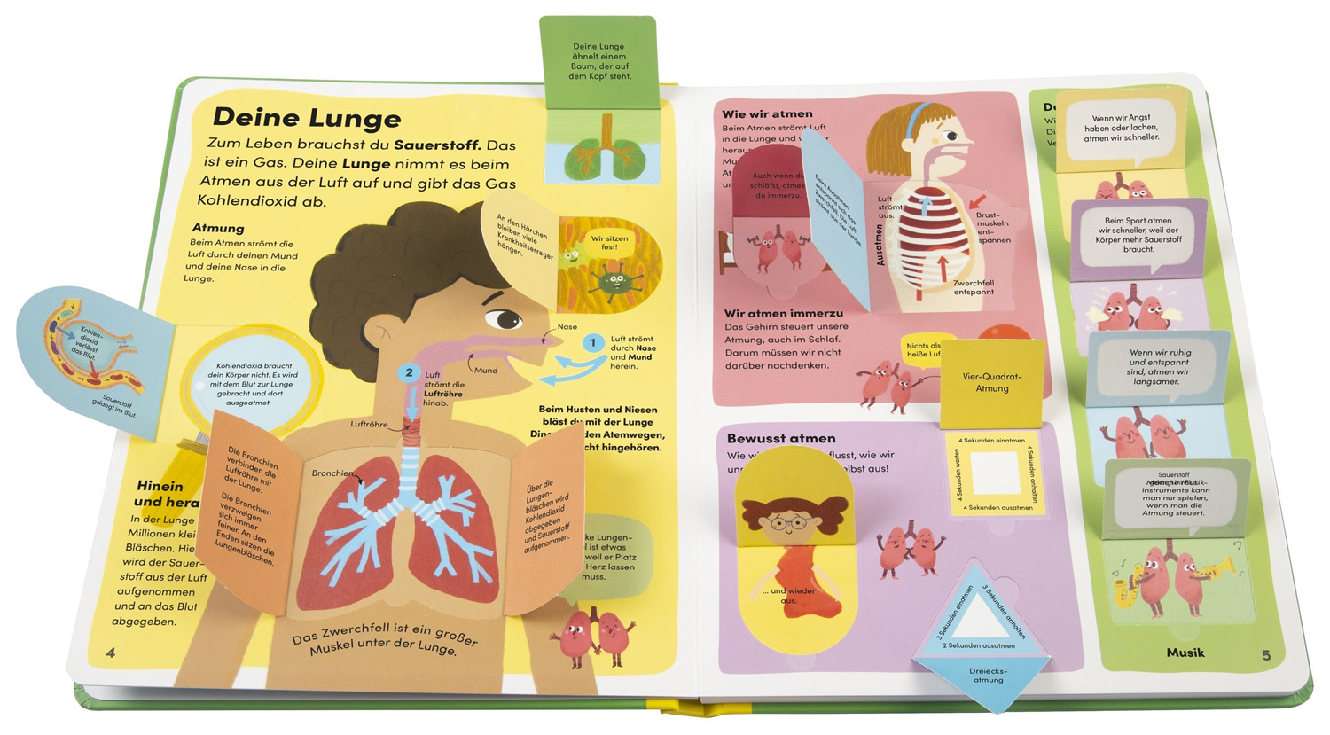 »Mein Körper« — DORLING KINDERSLEY