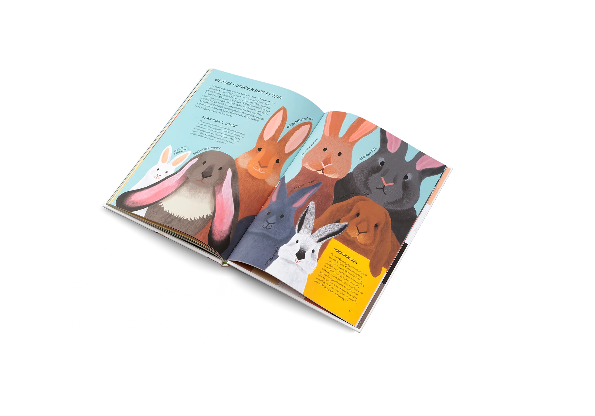»Nenn mich nicht Hase!« — GESTALTEN