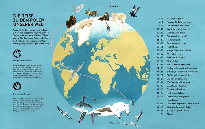 »PINGUINE & EISBÄREN« — GESTALTEN