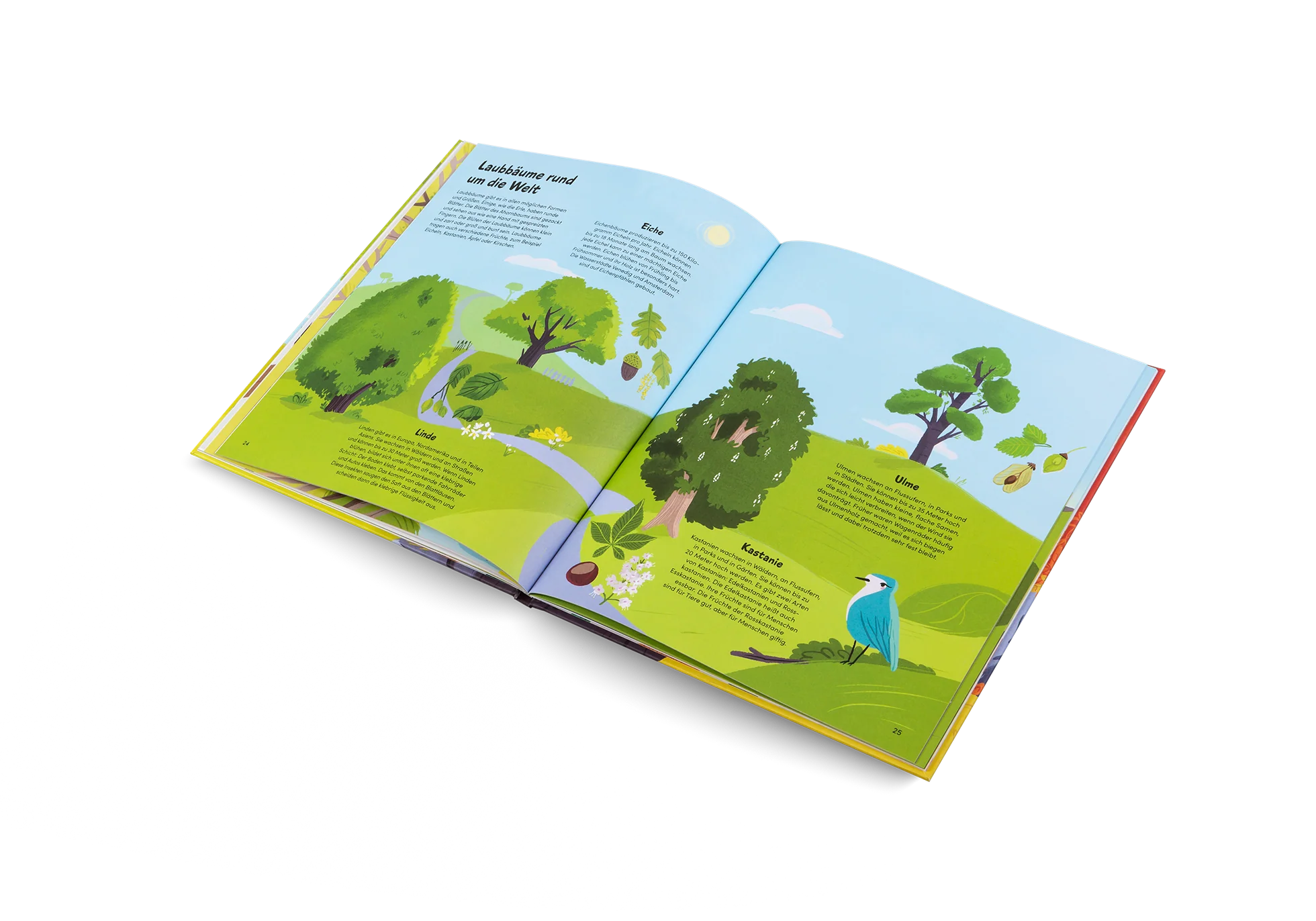 »Das kleine Buch der Bäume« — GESTALTEN