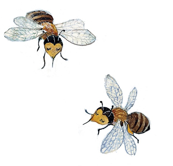 «UNSER APFELBAUM« — BOHEM