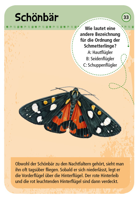 »EXPEDITION NATUR 50 (FÜNFZIG) HEIMISCHE SCHMETTERLINGE« — MOSES