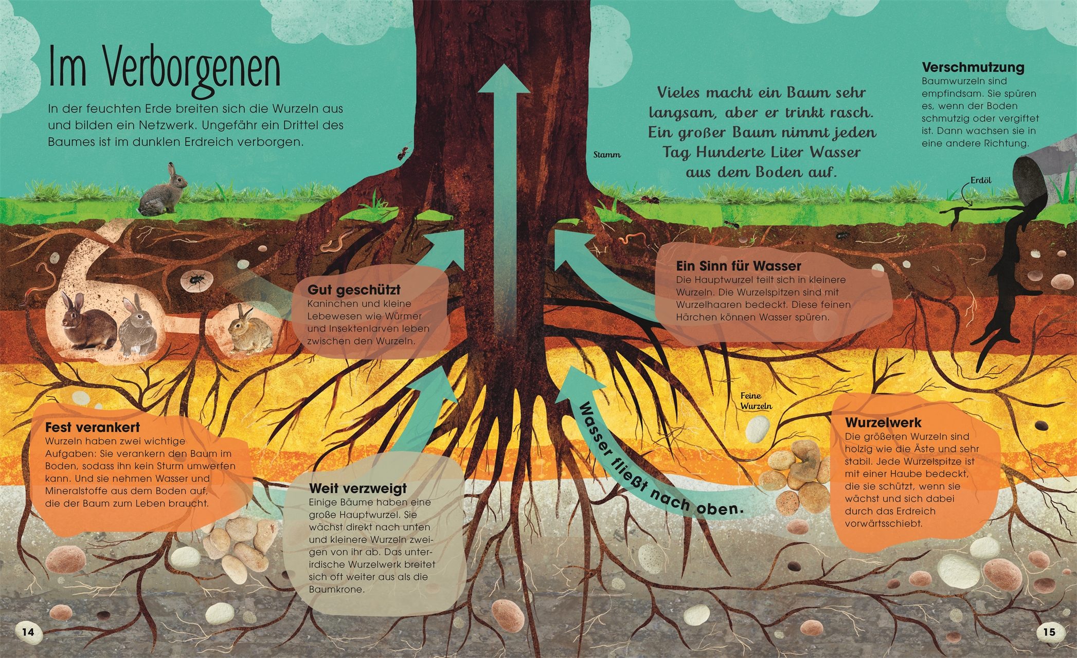 »BÄUME - ENTDECKE DIE VERBORGENE WELT DES WALDES« — DORLING KINDERSLEY