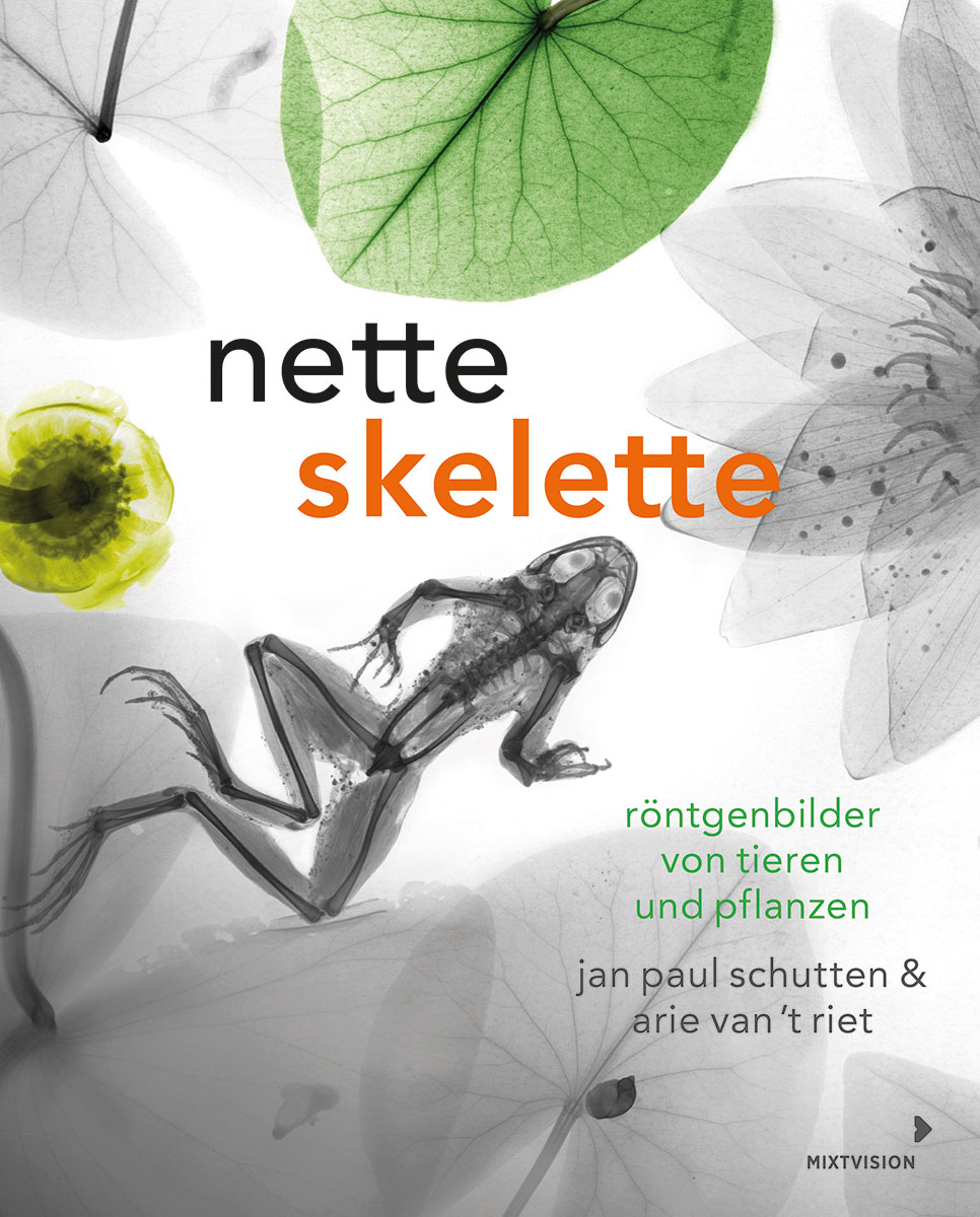 »NETTE SKELETTE« — MIXTVISION