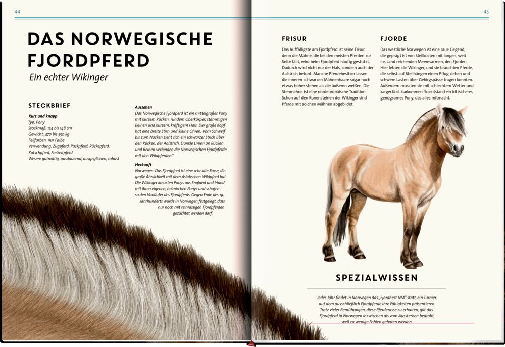 »Lebensgroß: Pferde aus aller Welt« — COPPENRATH