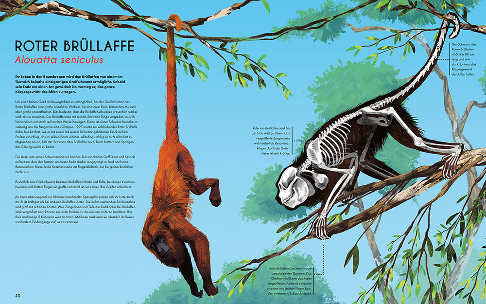 »Bones - Knochen und Skelette in der Tierwelt«  — MAGELLAN