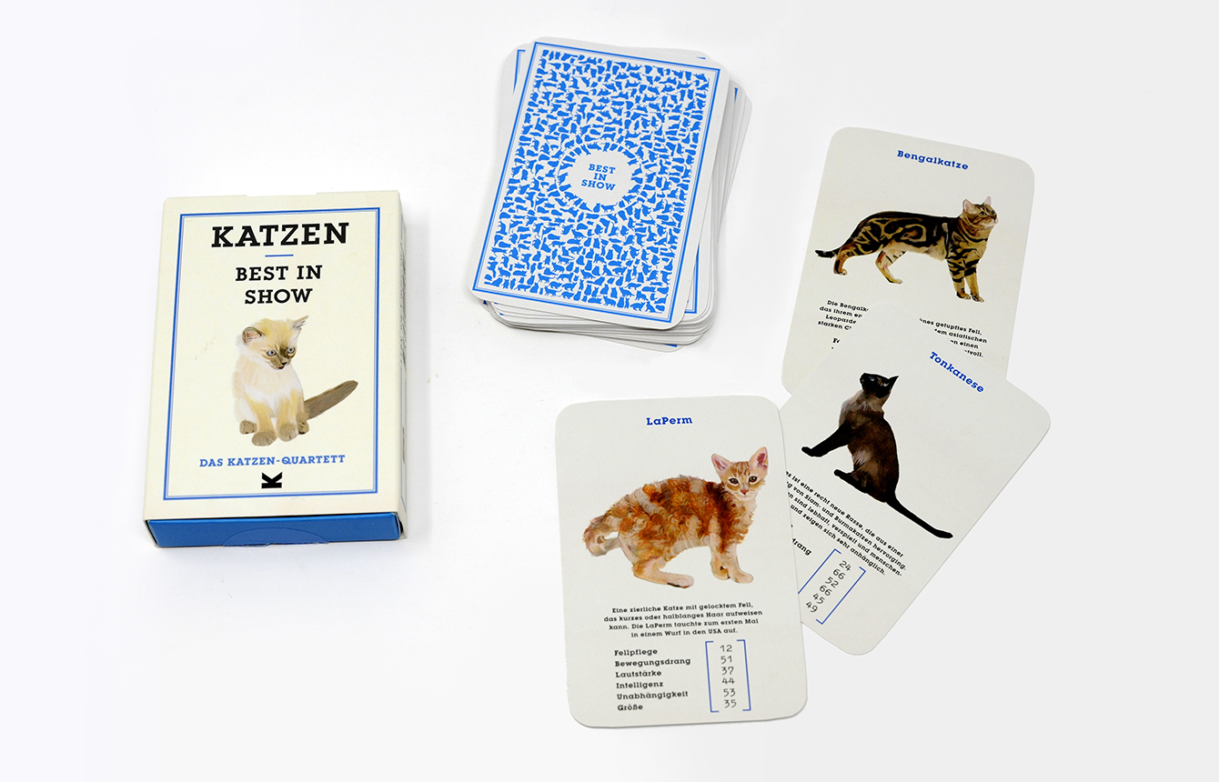 »KATZEN. BEST IN SHOW« — MOSES