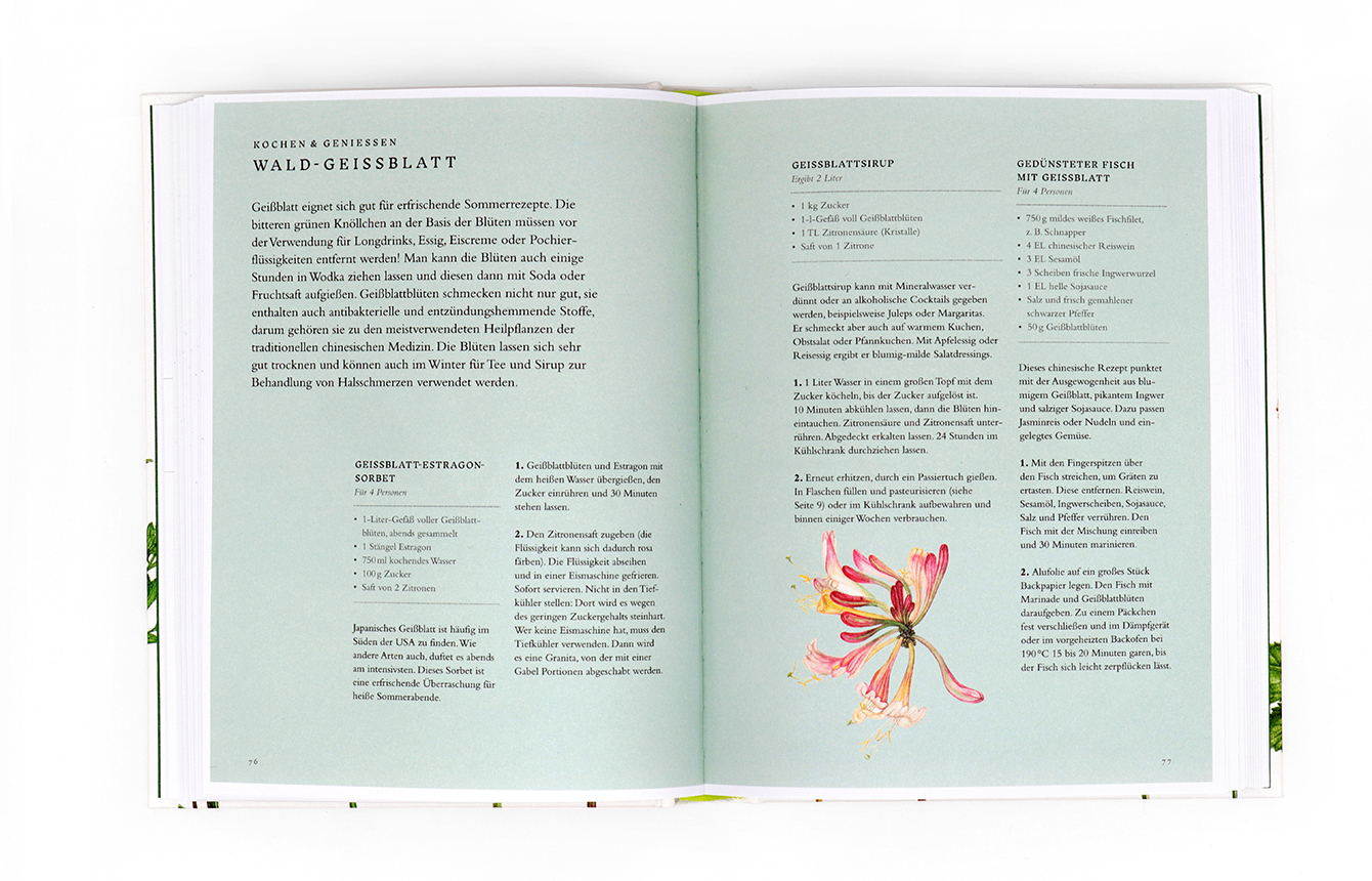 »ESSBARE WILDPFLANZEN« - LAURENCE KING