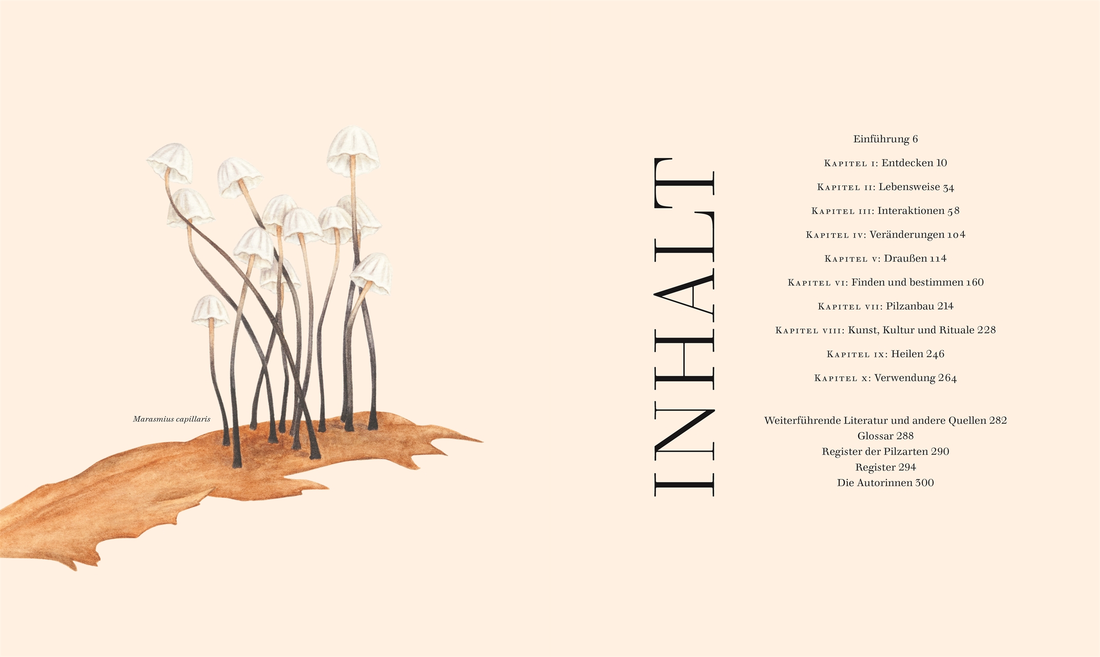 »Pilze« — DORLING KINDERSLEY