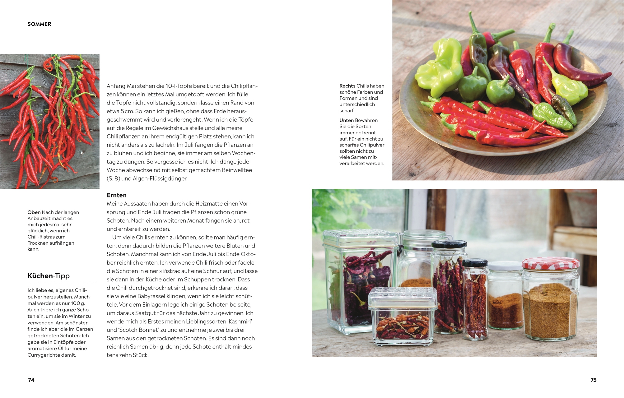 »Genuss pur aus dem Küchengarten« — DORLING KINDERSLEY