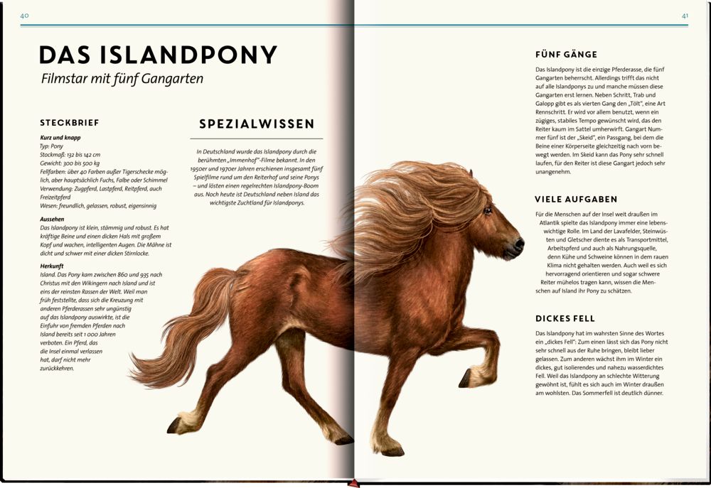 »Lebensgroß: Pferde aus aller Welt« — COPPENRATH