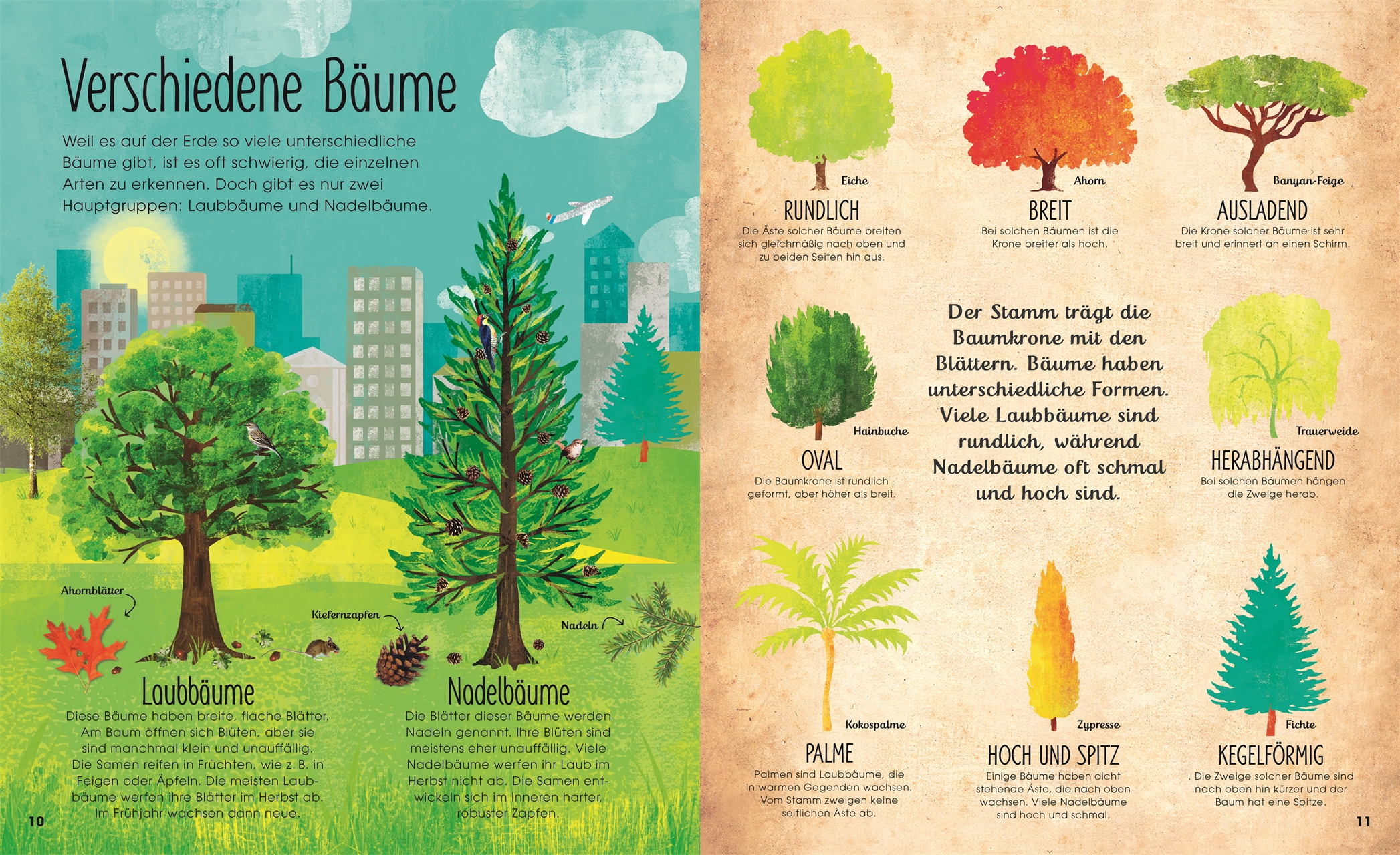 »BÄUME - ENTDECKE DIE VERBORGENE WELT DES WALDES« — DORLING KINDERSLEY