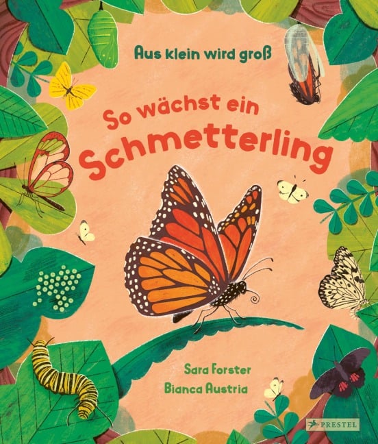 »Aus klein wird groß. So wächst ein Schmetterling« — PRESTEL