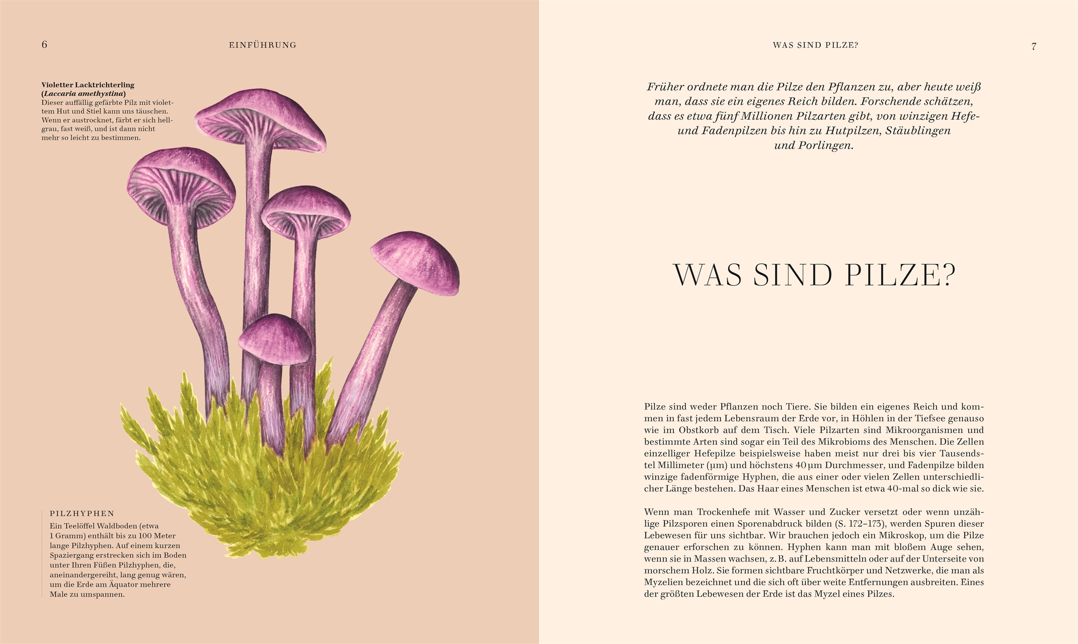 »Pilze« — DORLING KINDERSLEY