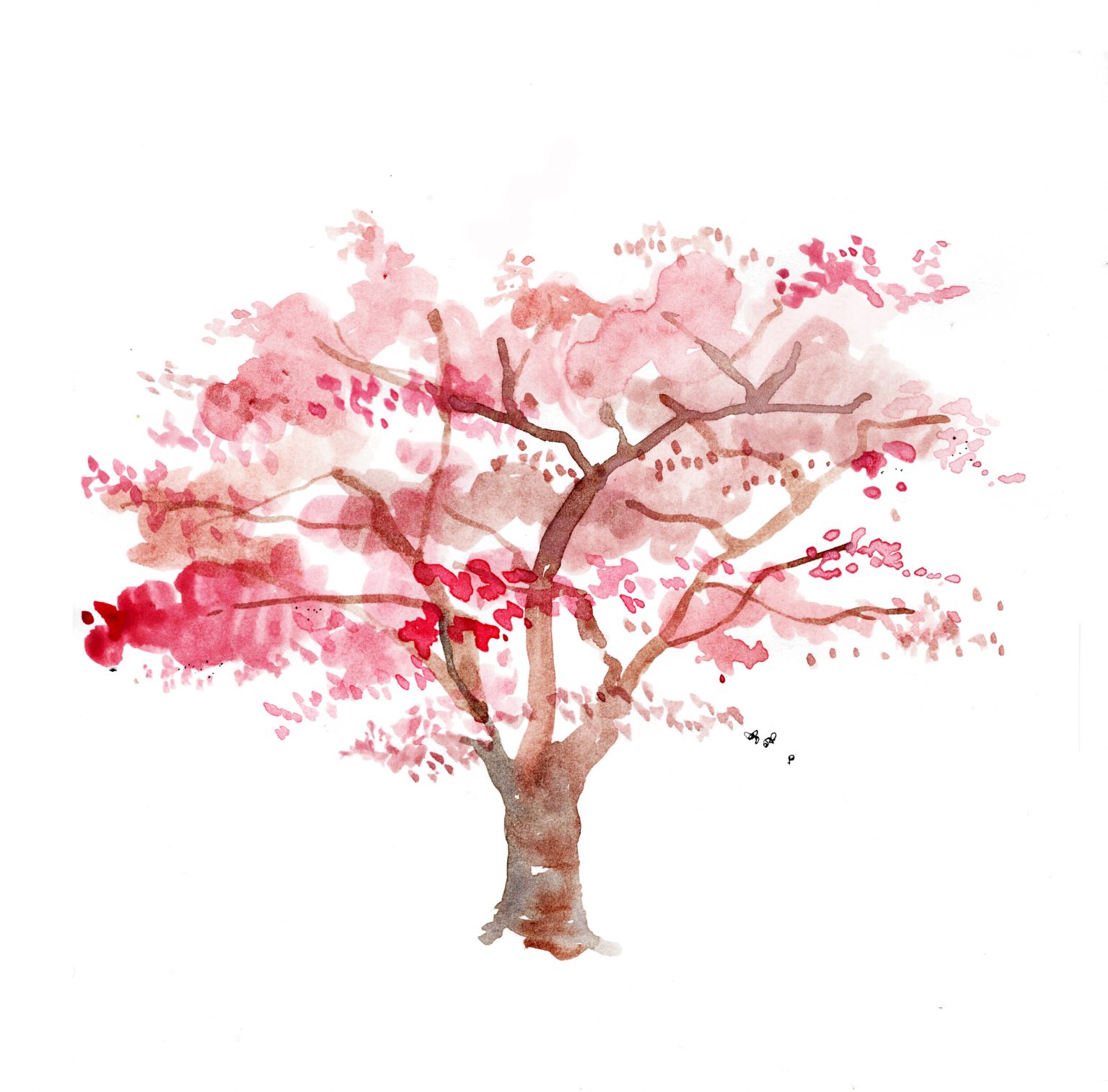 »MEINE KLEINE BAUMKUNDE« - EDEN BOOKS