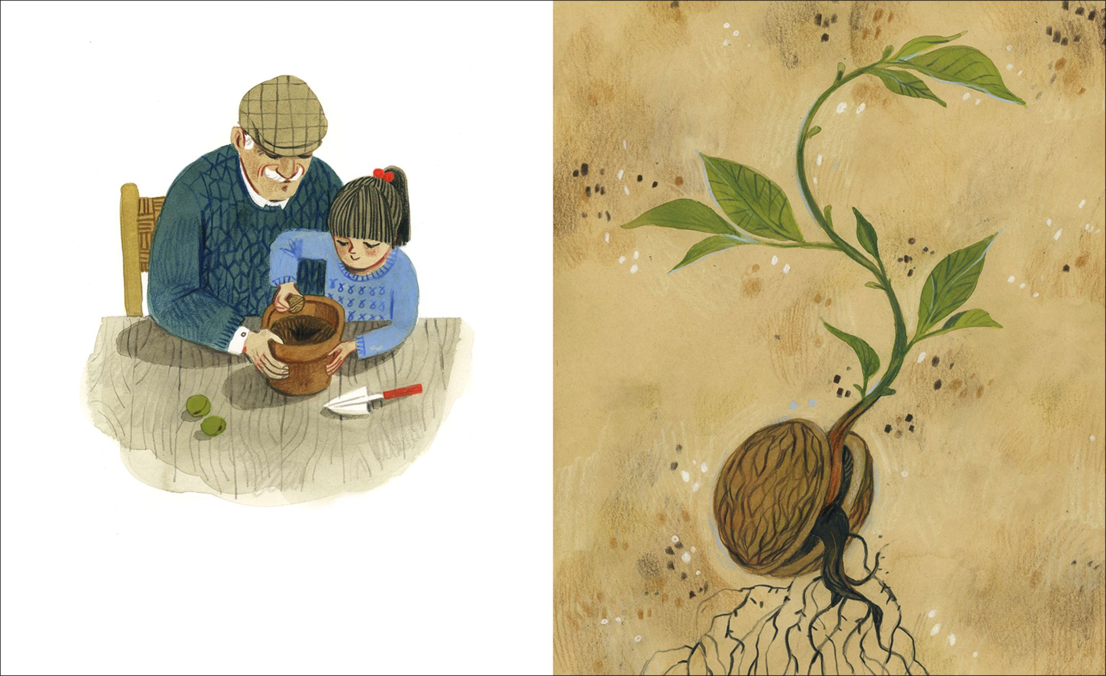 »Großvaters Walnuss« — INSEL