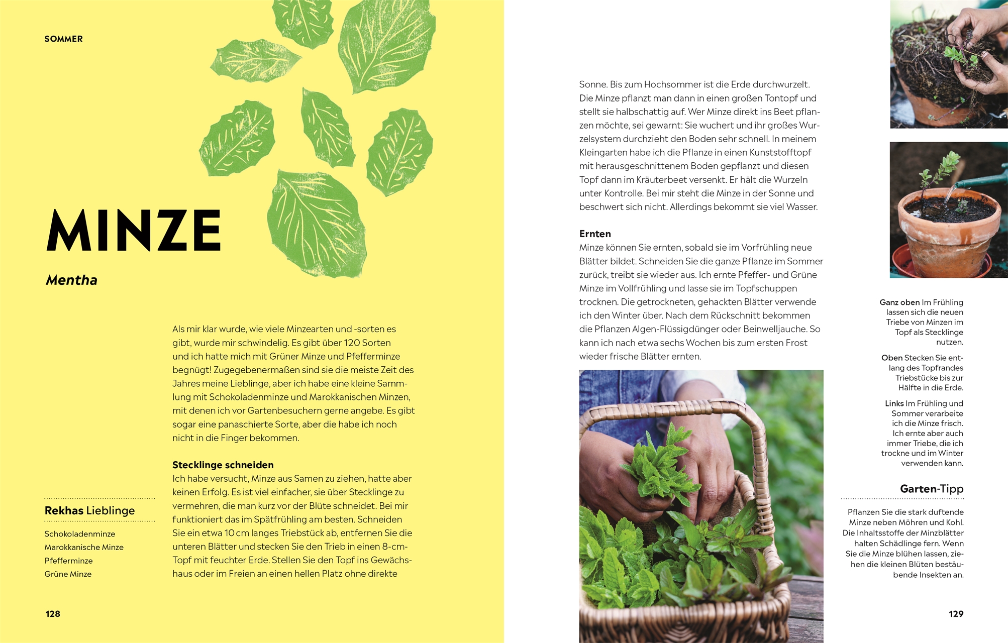 »Genuss pur aus dem Küchengarten« — DORLING KINDERSLEY