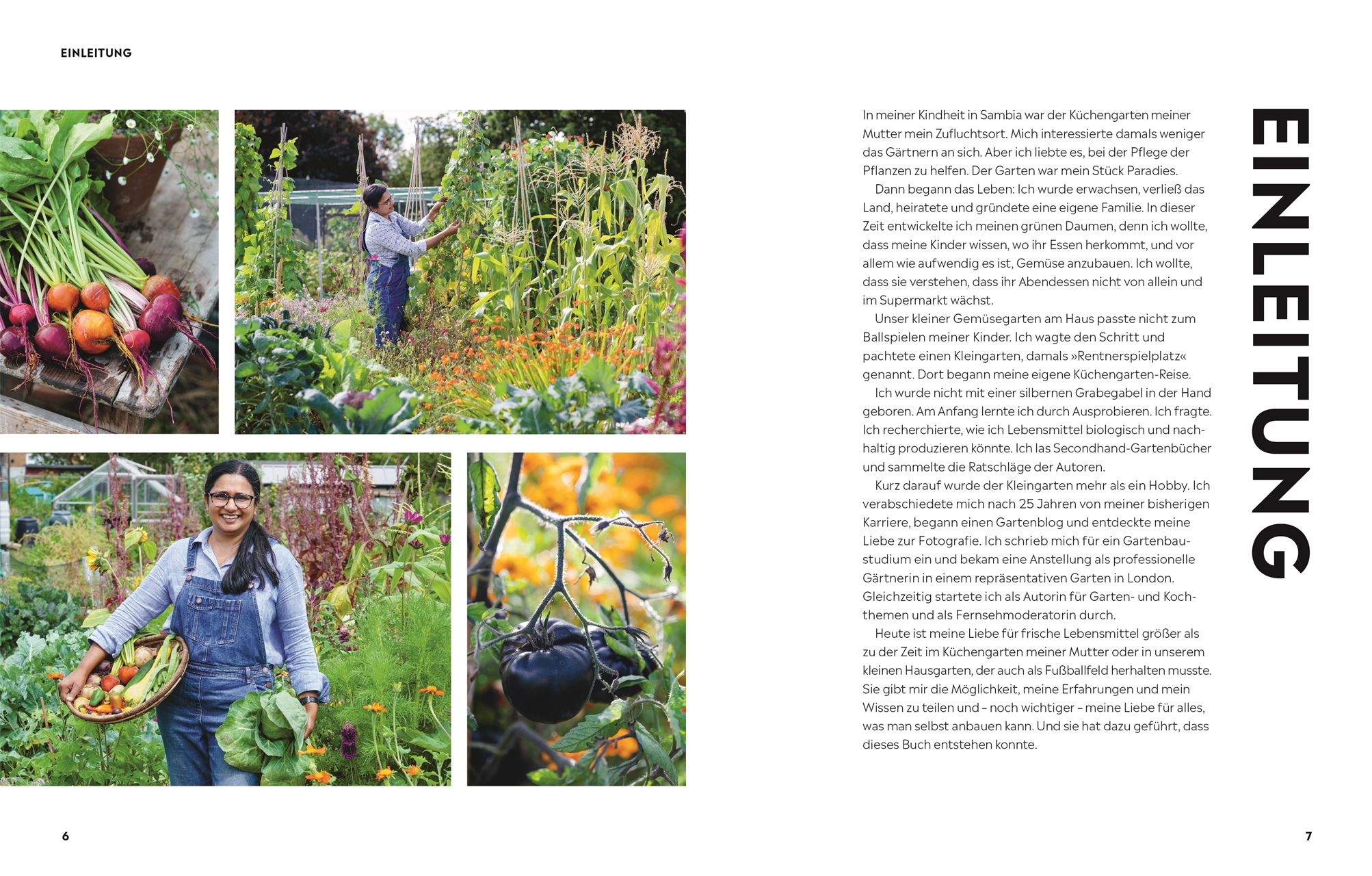 »Genuss pur aus dem Küchengarten« — DORLING KINDERSLEY