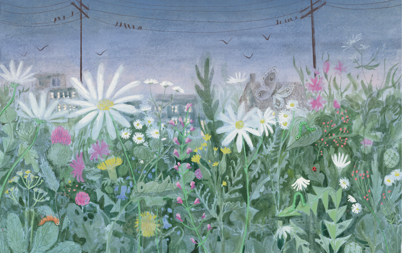 »Die verwunschene Wiese« — BOHEM