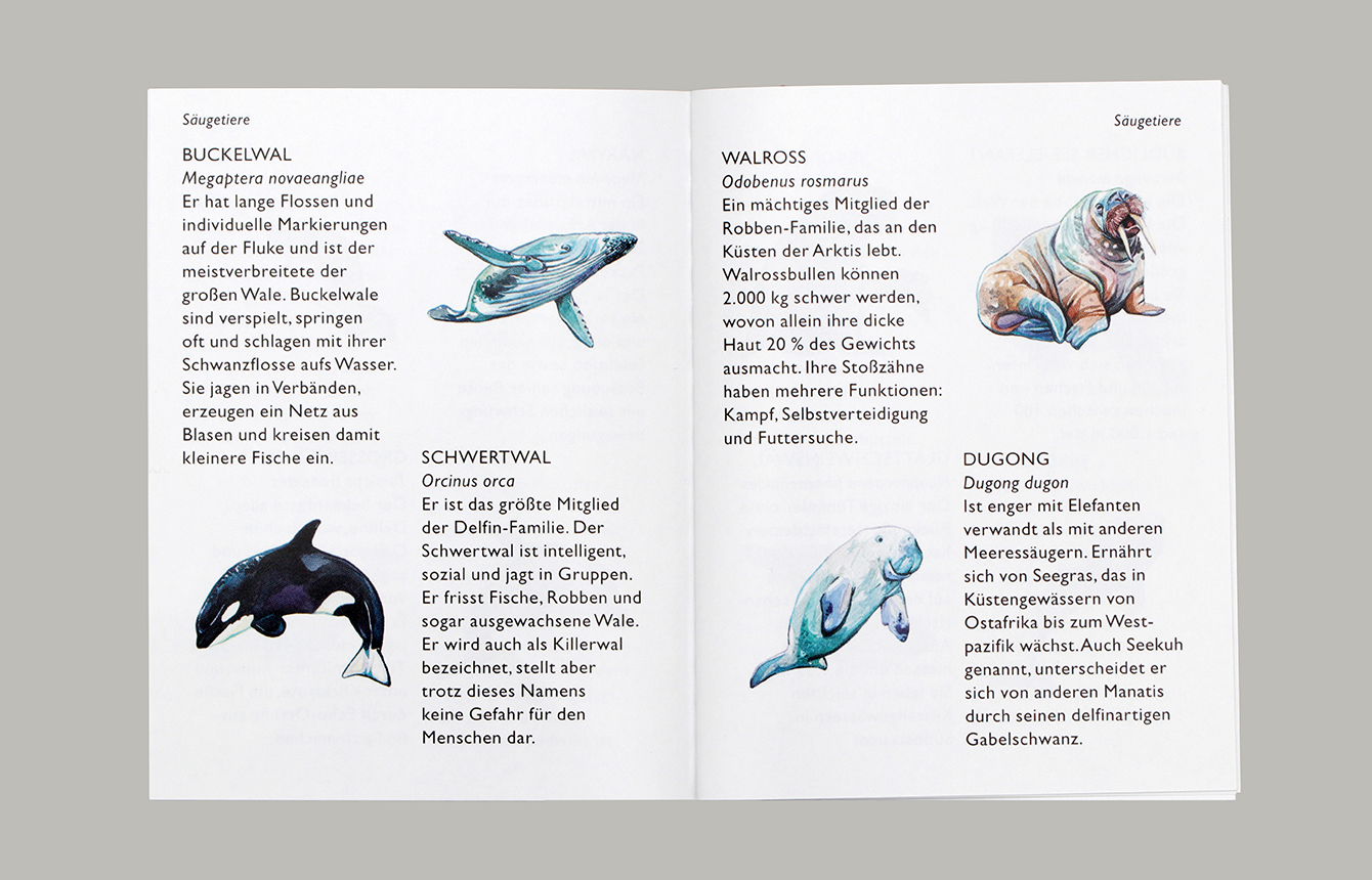 »MEERES-SPIELKARTEN« — LAURENCE KING VERLAG