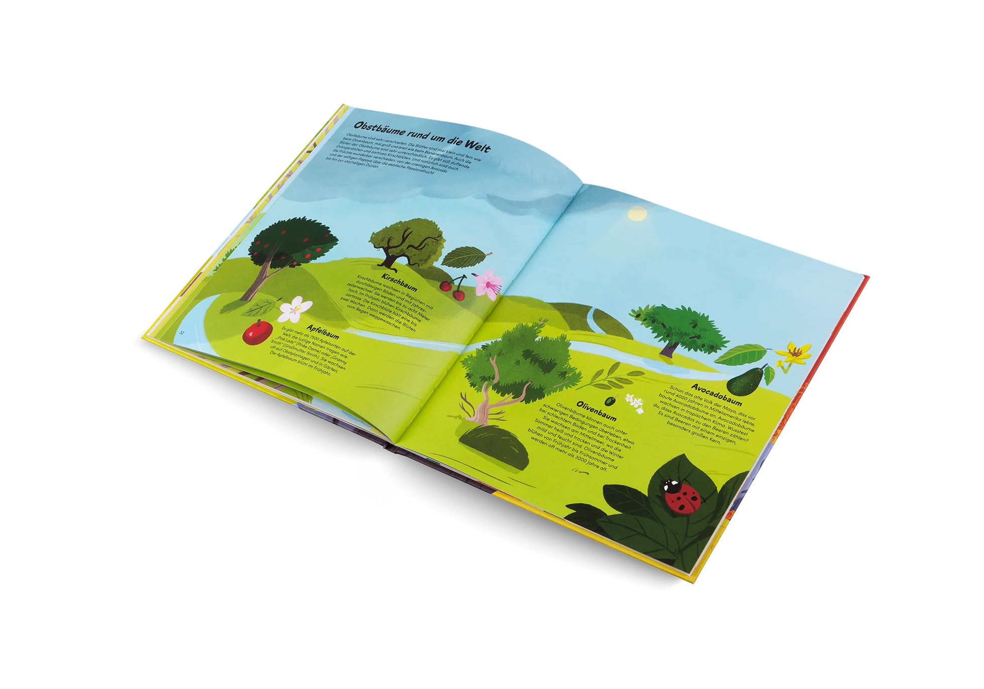 »Das kleine Buch der Bäume« — GESTALTEN