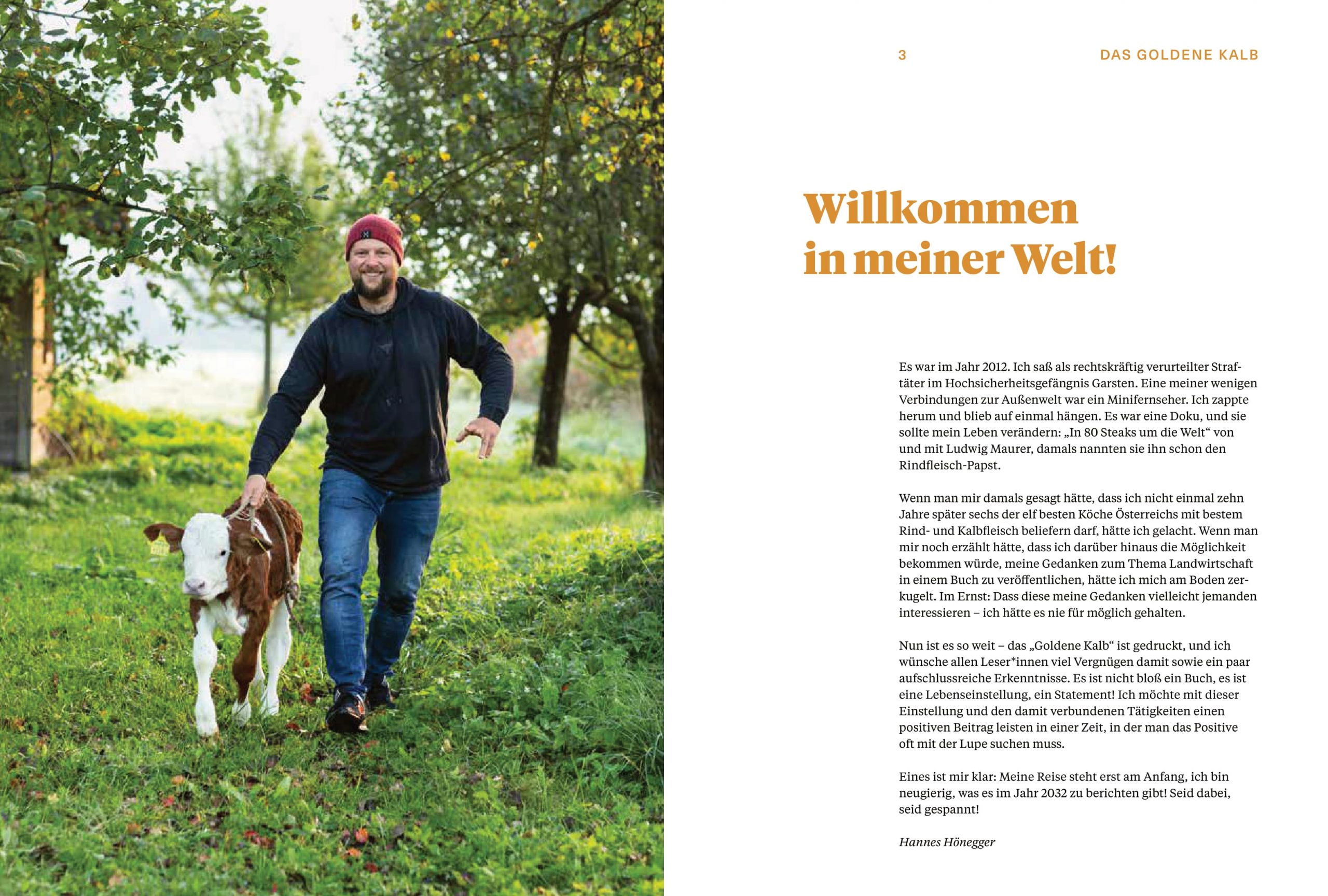 »DAS GOLDENE KALB« — BRANDSTÄTTER »DAS GOLDENE KALB« — BRANDSTÄTTER