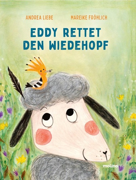 »Eddy rettet den Wiedehopf«  — MOLINO