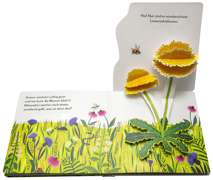 »Mein Pop-up-Buch zum Staunen. Wo kommst du her, kleiner Löwenzahn?« — DORLING KINDERSLEY