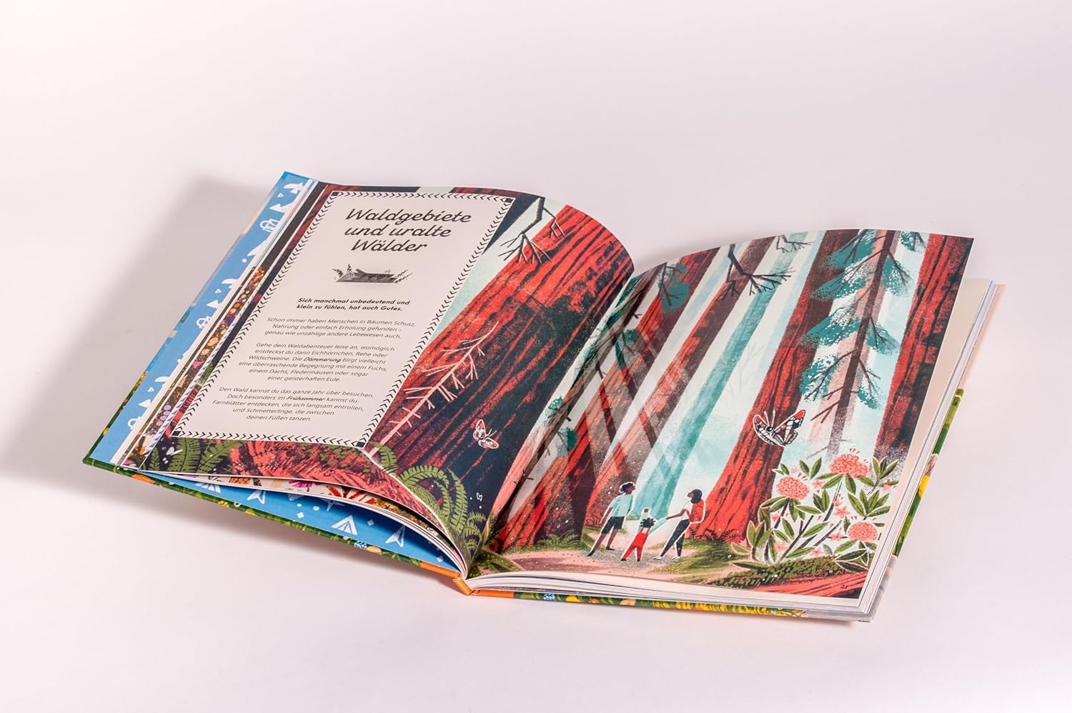 »Raus in die Natur! Alles, was du über Camping, Wandern und Backpacking wissen musst« — PRESTEL