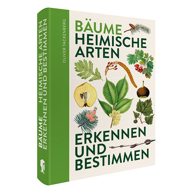 »BÄUME« — FAVORTENPRESSE