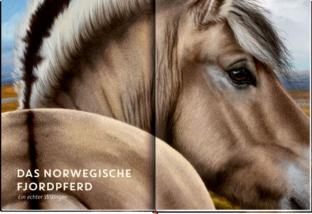 »Lebensgroß: Pferde aus aller Welt« — COPPENRATH