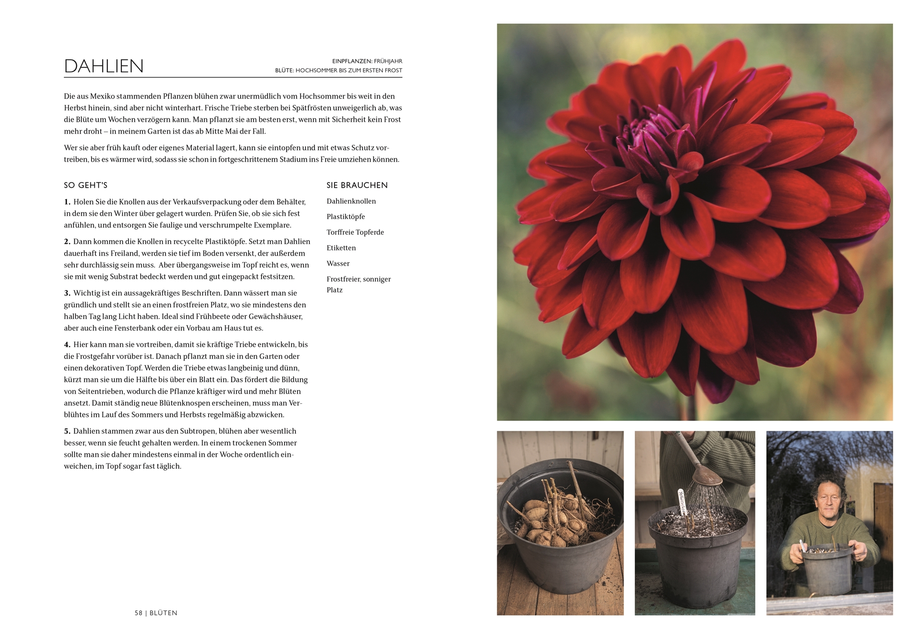 »Das Gartenbuch« — DORLING KINDERSLEY