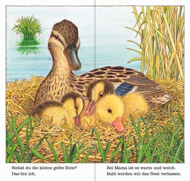 »ICH BIN DIE KLEINE ENTE« — RAVENSBURGER