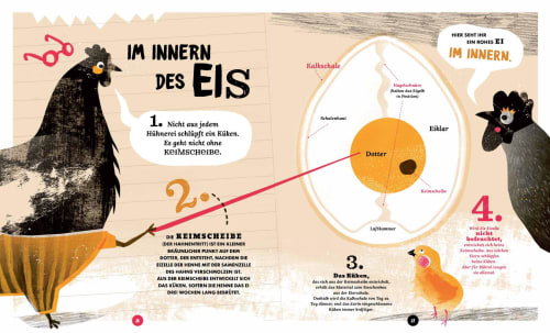 »EIER« — KNESEBECK