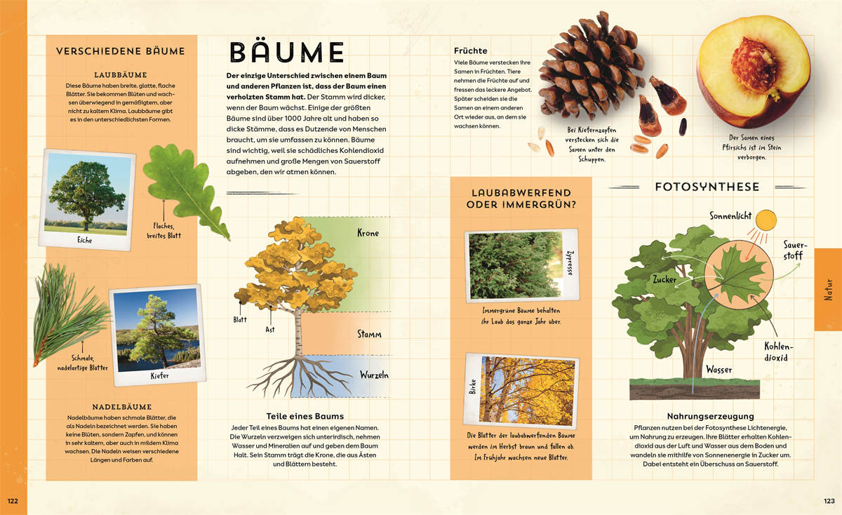 »Welt-Entdecker« — DORLING KINDERSLEY