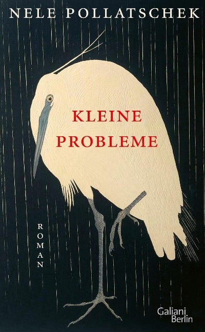 »Kleine Probleme« — GALIANI