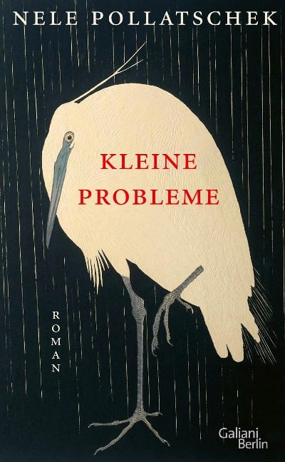 »Kleine Probleme« — GALIANI